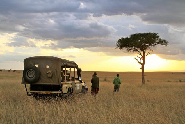 4 Days 3 Nights Safari From Nairobi to Masai Mara Ending  Diani Beach Hotels/Resorts