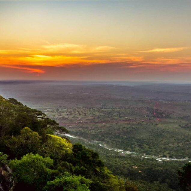 Shimba Hills National Reserve