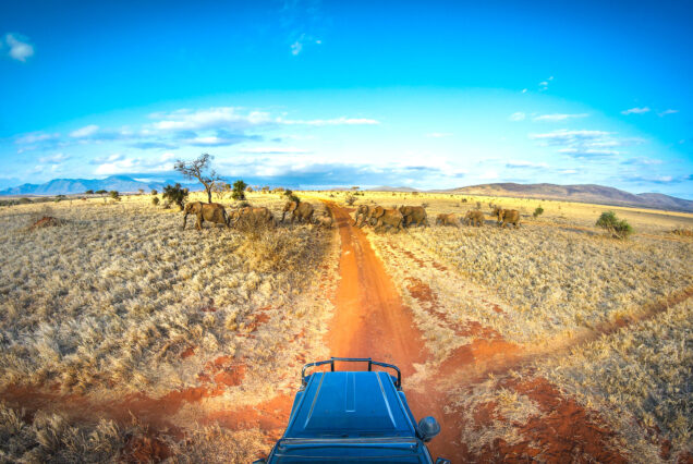 4 Days 3 Nights Safari Amboseli, Tsavo West to Tsavo East drop off Diani/Mombasa Beach Hotel