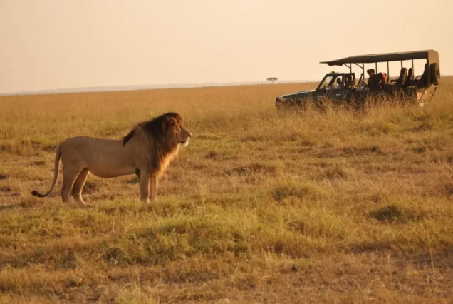 12 Days Safari from Nairobi to Samburu, Ol-Pejeta, Aberdare, Lake Nakuru, Masai Mara, Lake Naivasha, Amboseli & Tsavo West