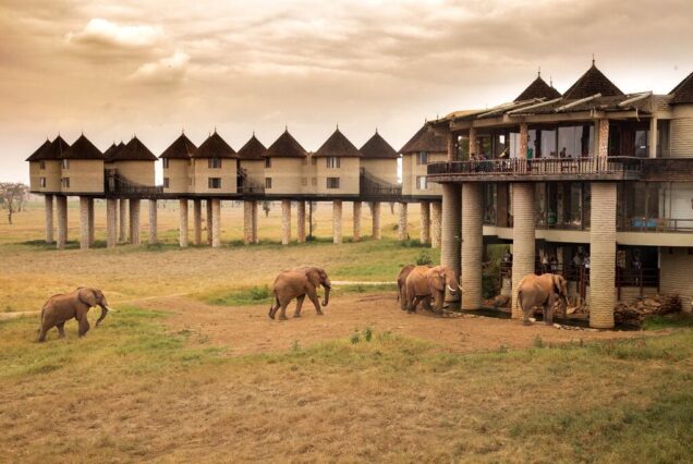 6 Days Safari from Nairobi to Amboseli, Tsavo West, Taita Hills & Tsavo East drop Mombasa Beach Resorts