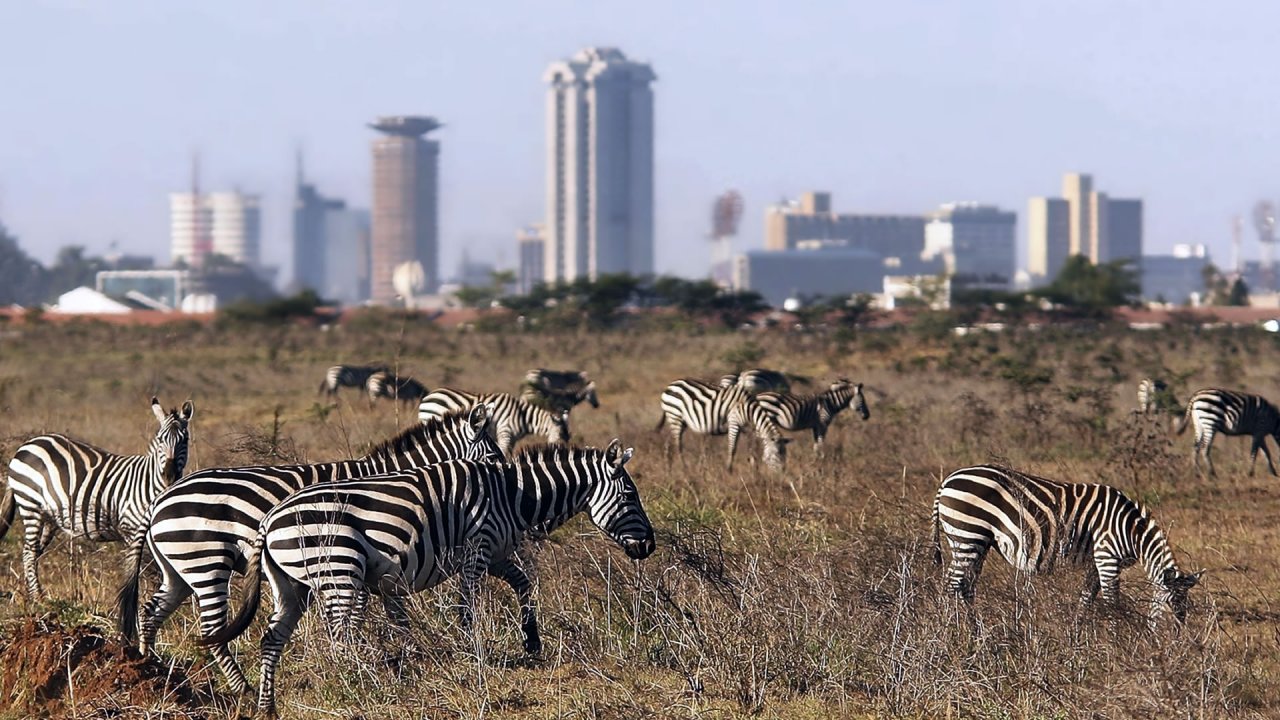 Nairobi-Excursions-Nairobi-Natonal-Park