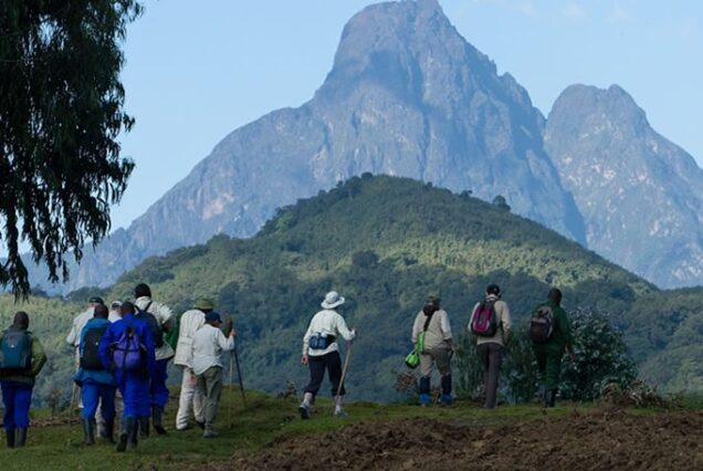 Volcanoes National Park Rwanda