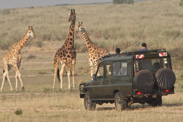 Akagera wildlife safari Rwanda