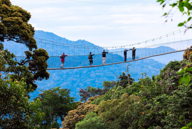 Canopy Walk Nyungwe Forest